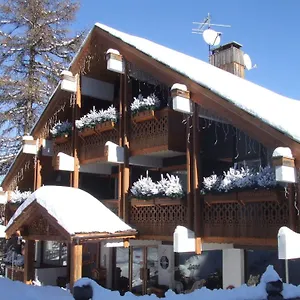Ecureuil Vars (Hautes-Alpes)